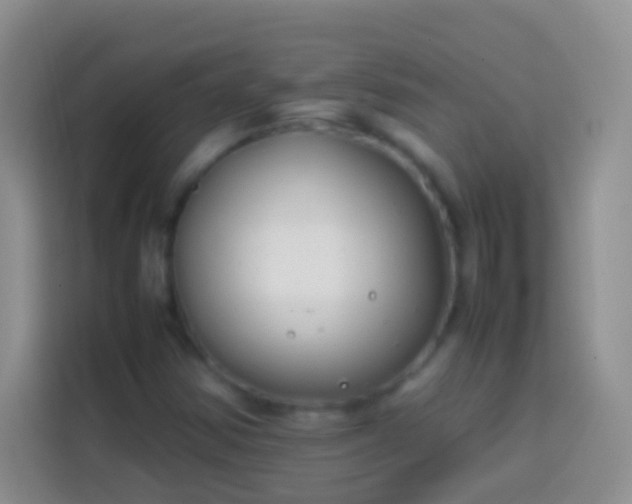 X0000113871354200910011104