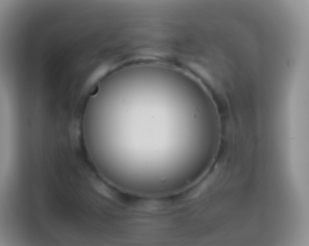 X0000113871355200910011104