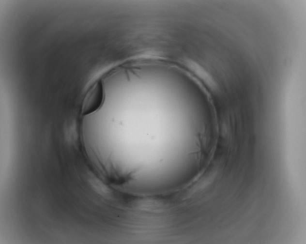 X0000113871356200910011104