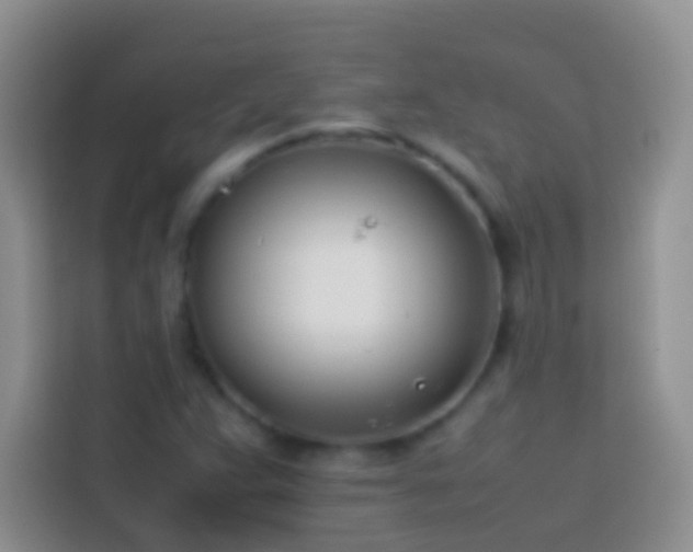 X0000113871359200910011104