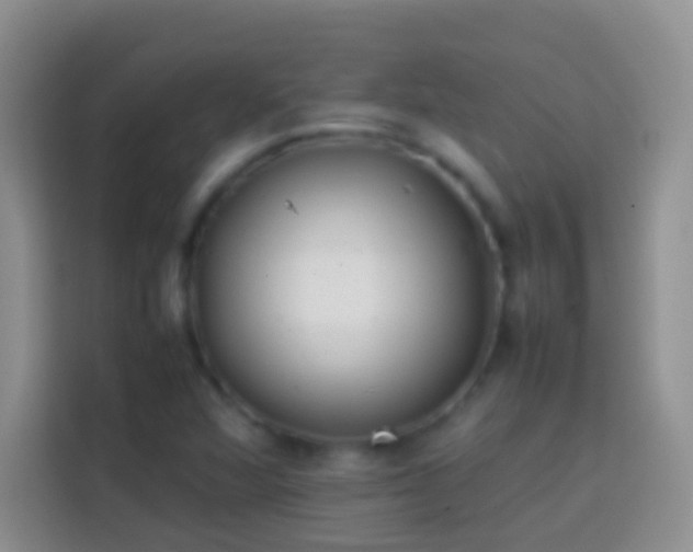 X0000113871360200910011104