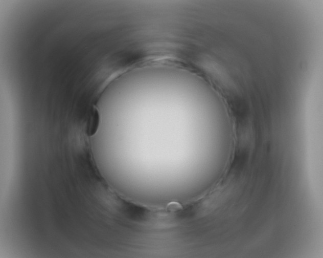 X0000113871361200910011104