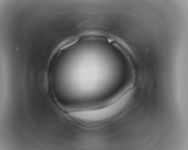 X0000113871364200910011104