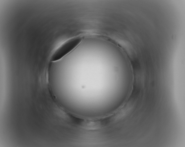 X0000113871365200910011104