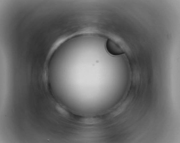 X0000113871366200910011104