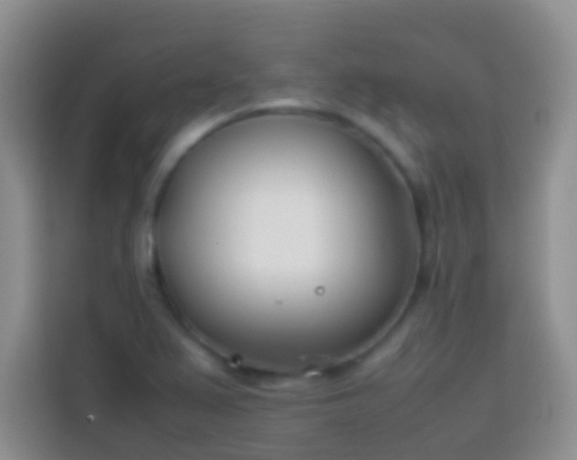 X0000113871367200910011104