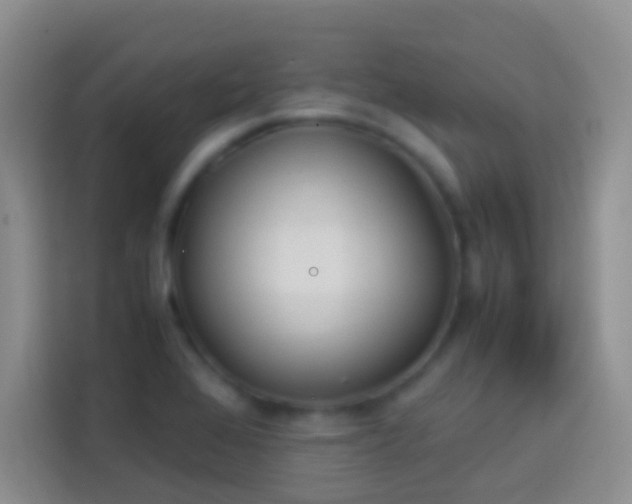 X0000113871368200910011104