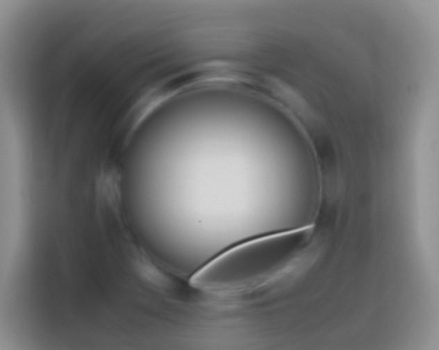 X0000113871369200910011104