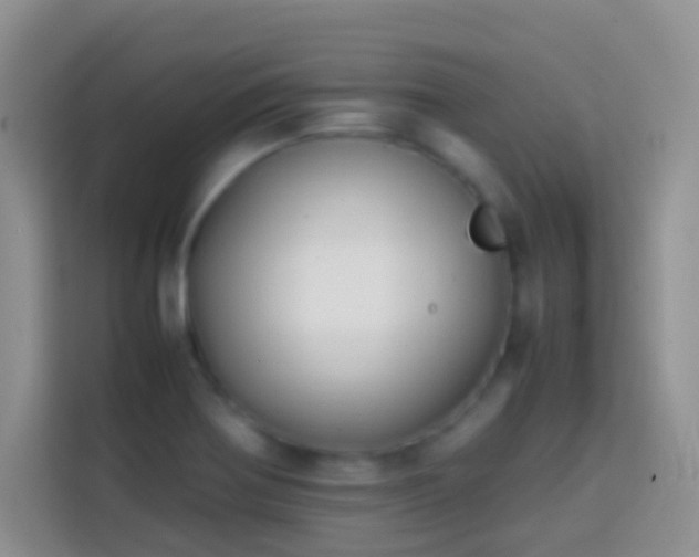 X0000113871370200910011104