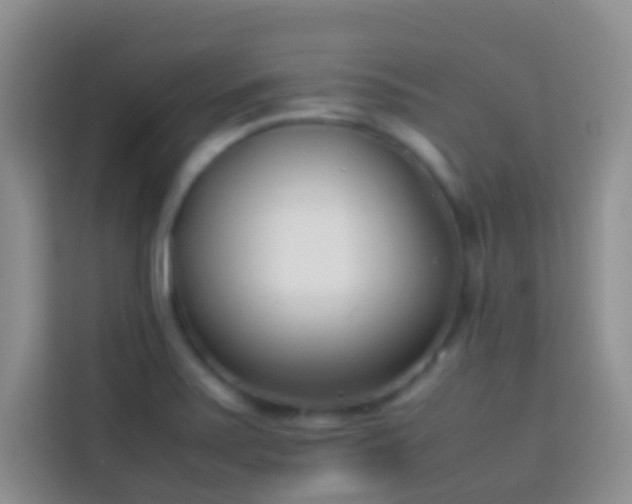 X0000113871371200910011104