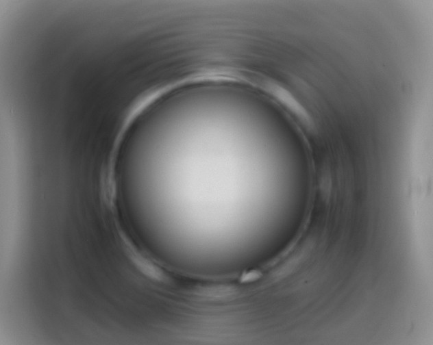 X0000113871372200910011104