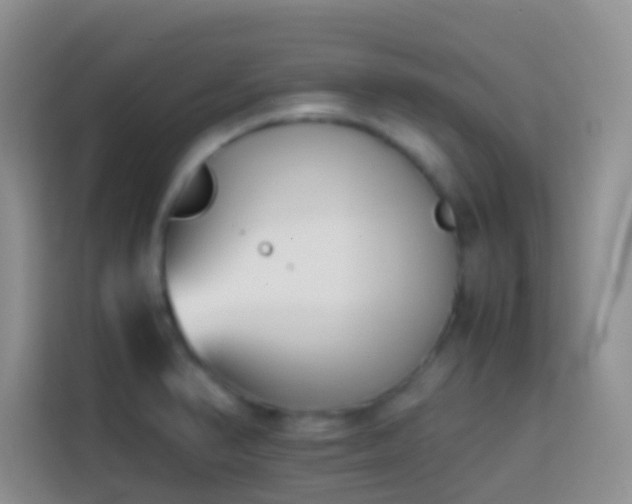 X0000113871374200910011104