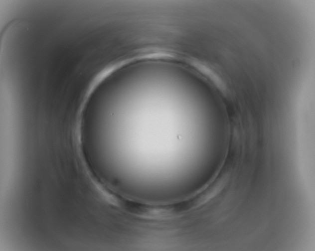 X0000113871375200910011104