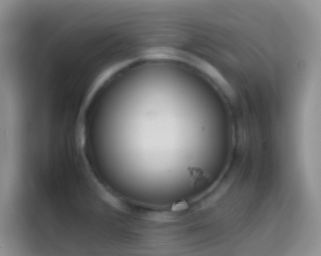 X0000113871376200910011104