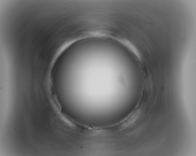 X0000113871381200910011104