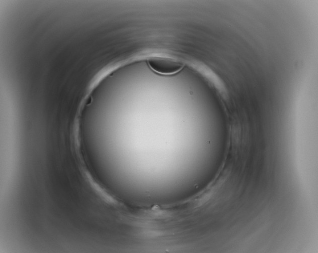 X0000113871382200910011104