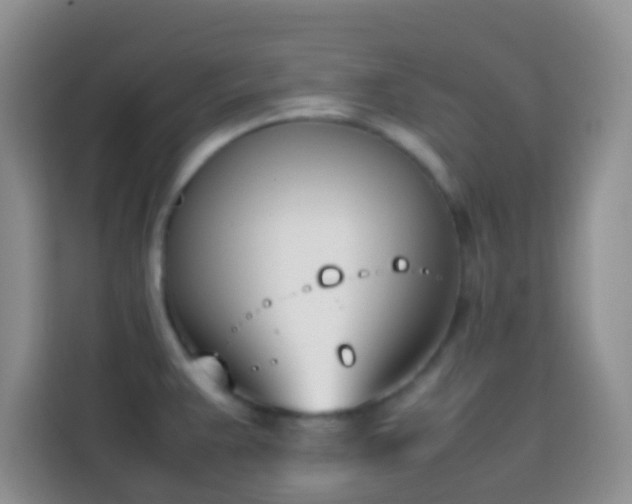 X0000113871383200910011103