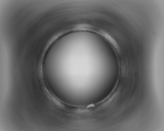 X0000113871384200910011103