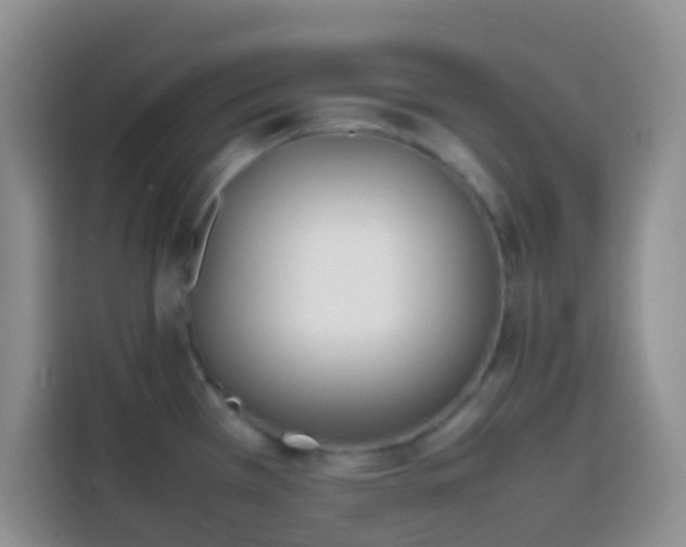 X0000113871385200910011103