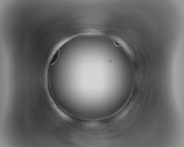 X0000113871387200910011103