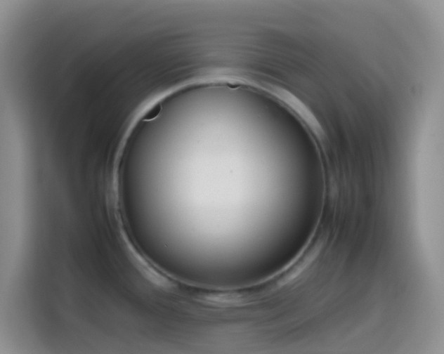 X0000113871388200910011103