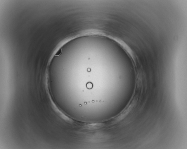 X0000113871390200910011103