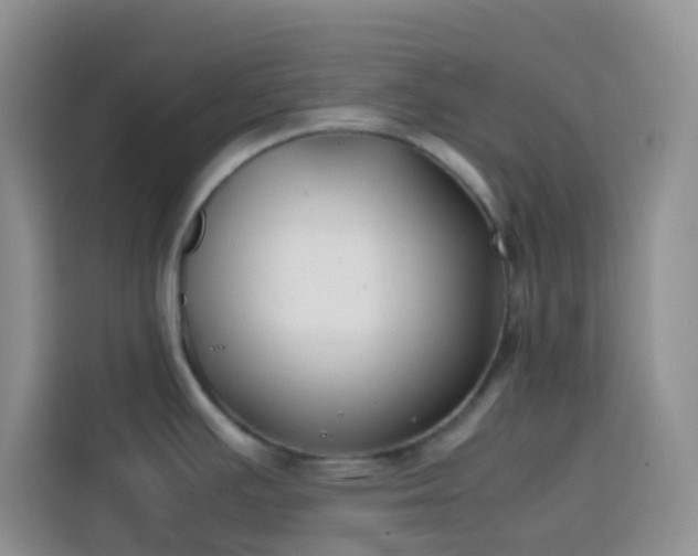 X0000113871391200910011103