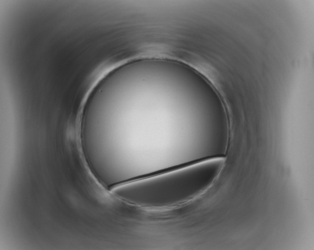 X0000113871392200910011103