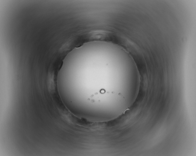 X0000113871394200910011103