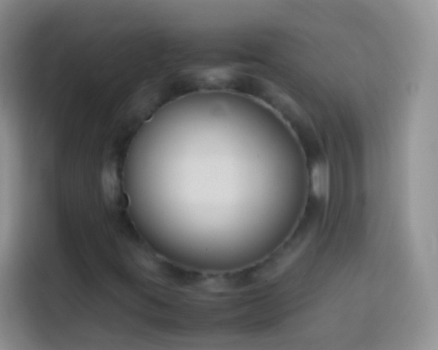 X0000113871395200910011103