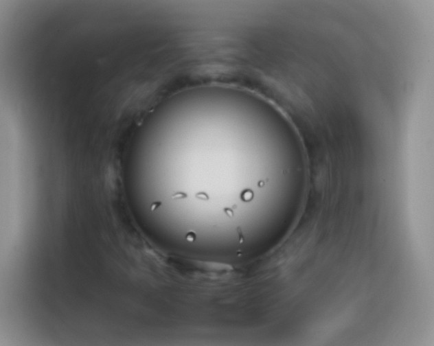 X0000113871397200910011103