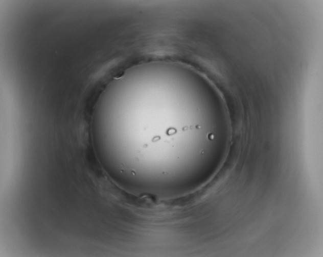 X0000113871398200910011103