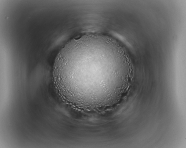 X0000113871399200910011103