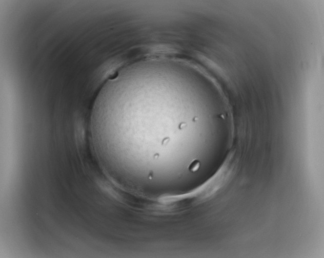 X0000113871401200910011103