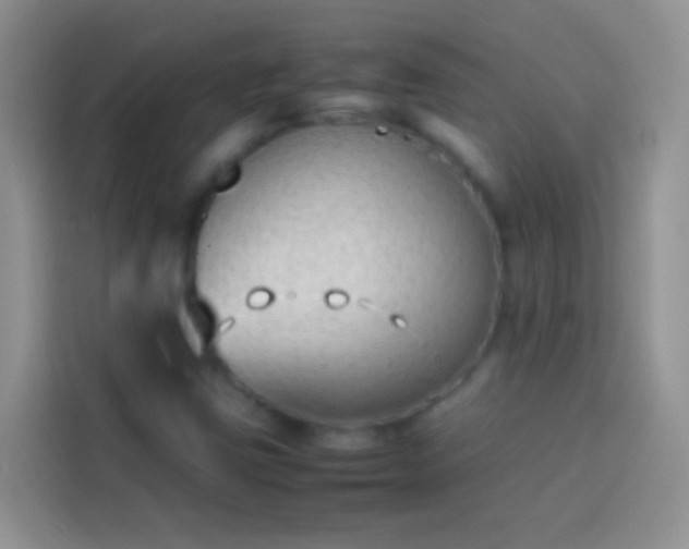 X0000113871403200910011103