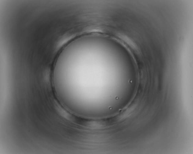 X0000113871404200910011103