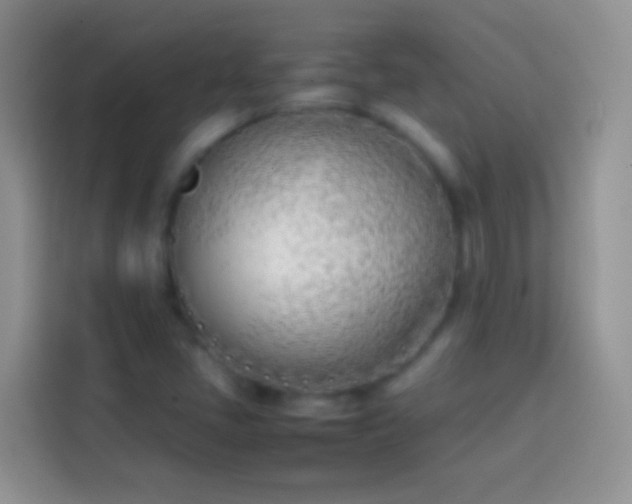 X0000113871405200910011103