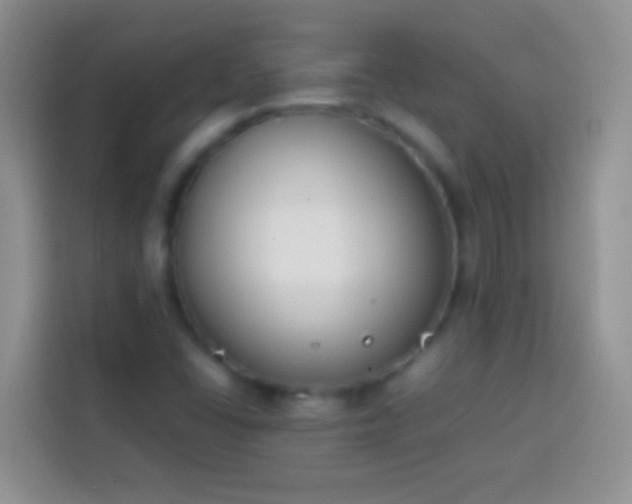 X0000113871406200910011103