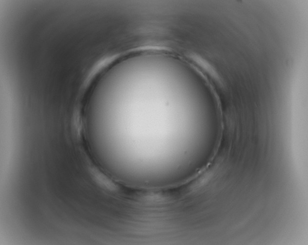 X0000113871408200910011103