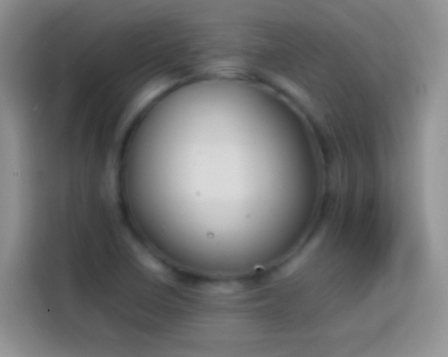 X0000113871410200910011103