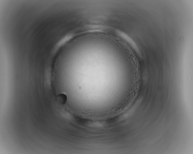 X0000113871411200910011103