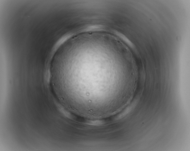 X0000113871413200910011103