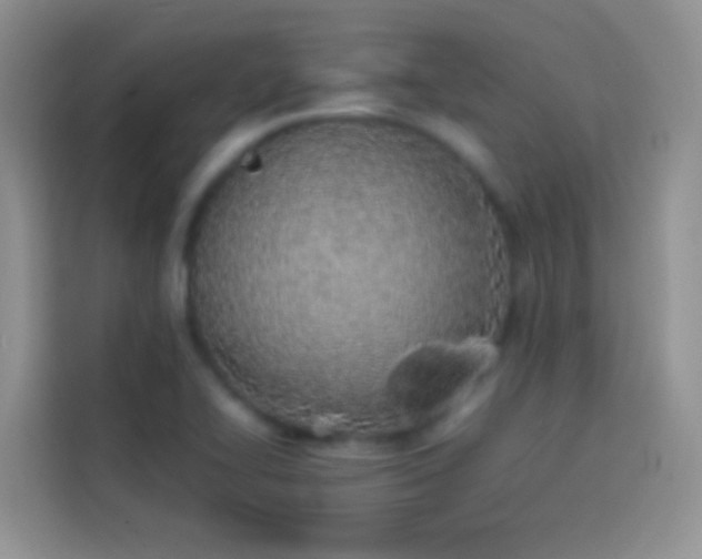 X0000113871414200910011103