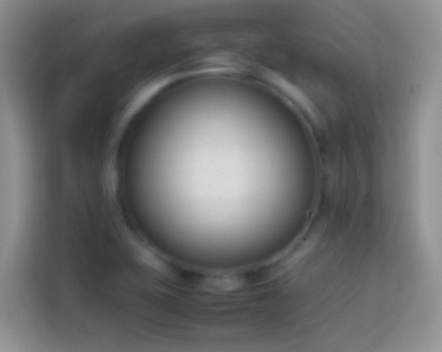 X0000113871415200910011103