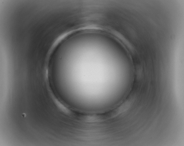 X0000113871416200910011103