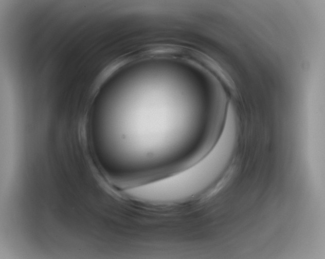 X0000113871417200910011103