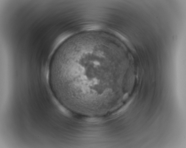 X0000113871418200910011103