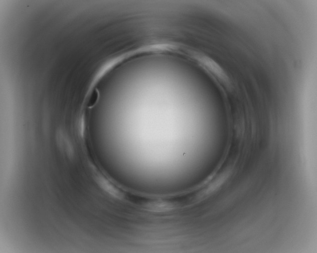 X0000113871420200910011103