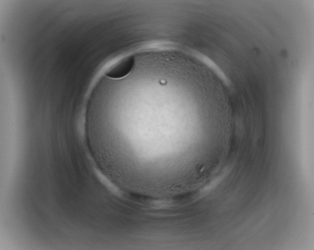 X0000113871421200910011103