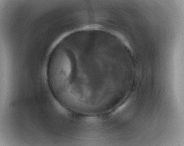 X0000113871422200910011103